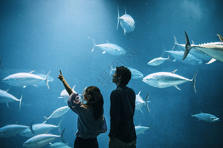 积极男子鱼群水族馆夫妇图片