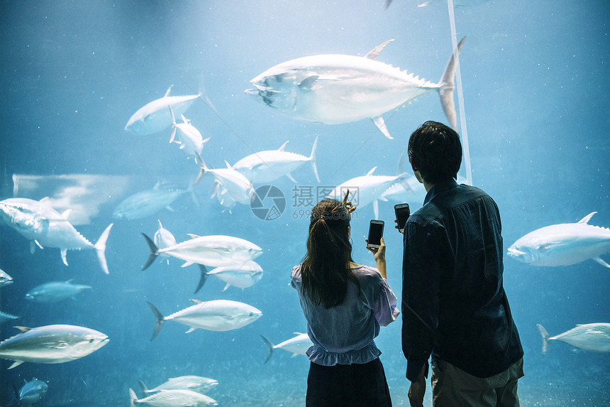 女男人蓝色水族馆夫妇图片