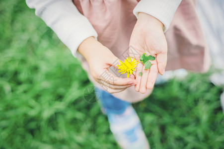 野草青草开花公园儿童女孩花背景图片