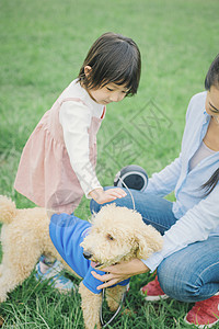 年轻的女孩欣赏带领狗和osanpo图像图片