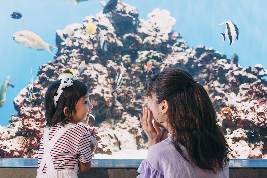 父母身份青年女生水族馆家庭图片