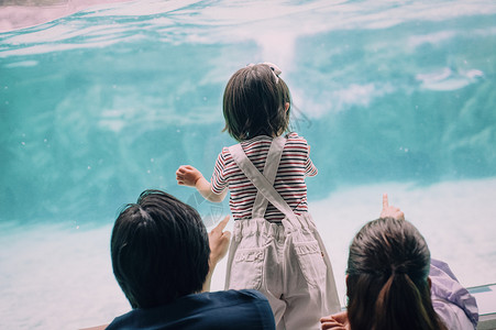 逮鱼女孩在水中假日妈妈水族馆家庭背景
