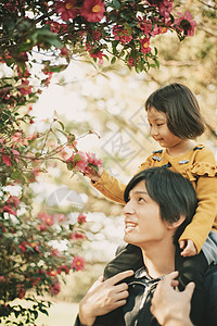 山茶树上花公园赏花的父女背景