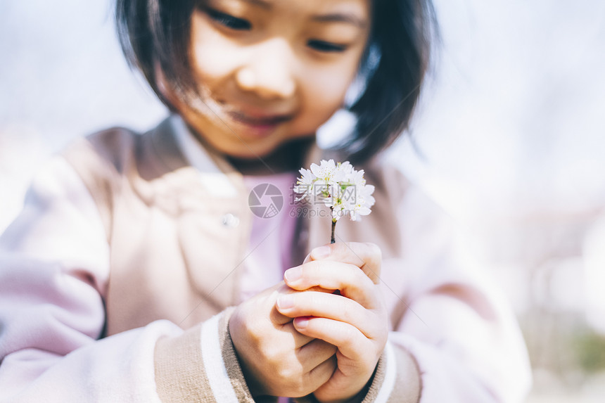 公园里观赏樱花的小女孩图片