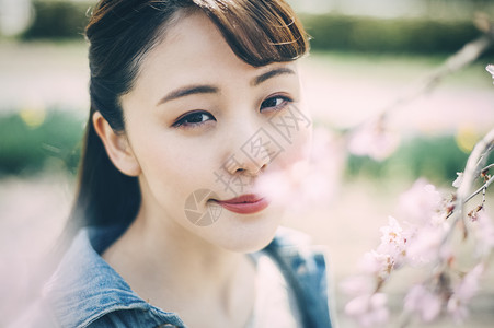 即将开始精美女孩樱花春天妇女画象图片