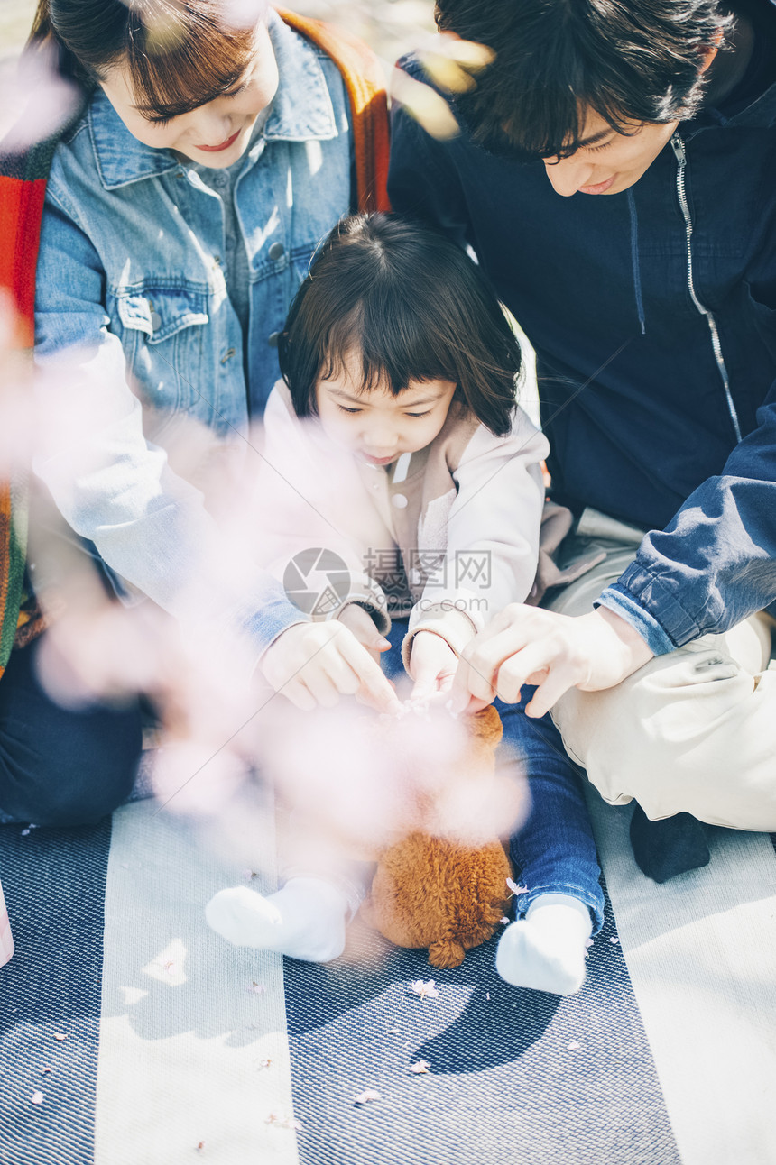 一家人在公园赏樱野餐图片