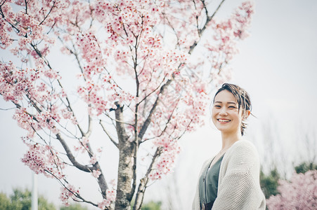 樱桃树开始开花春天里的樱花美女背景