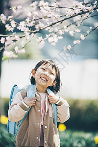 生活资料学生小学一年级学生樱花春天背景图片