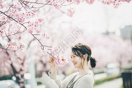 美丽的樱桃树樱桃树年轻公园樱花春天的女人背景