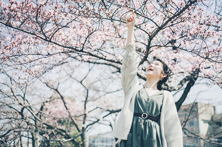 樱桃树开始开花女人户外赏樱背景