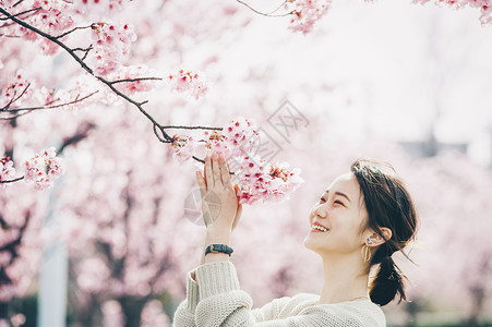 美丽的樱桃树女人户外赏樱背景