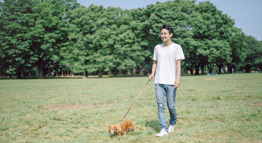 公园草坪遛狗的成年男子图片