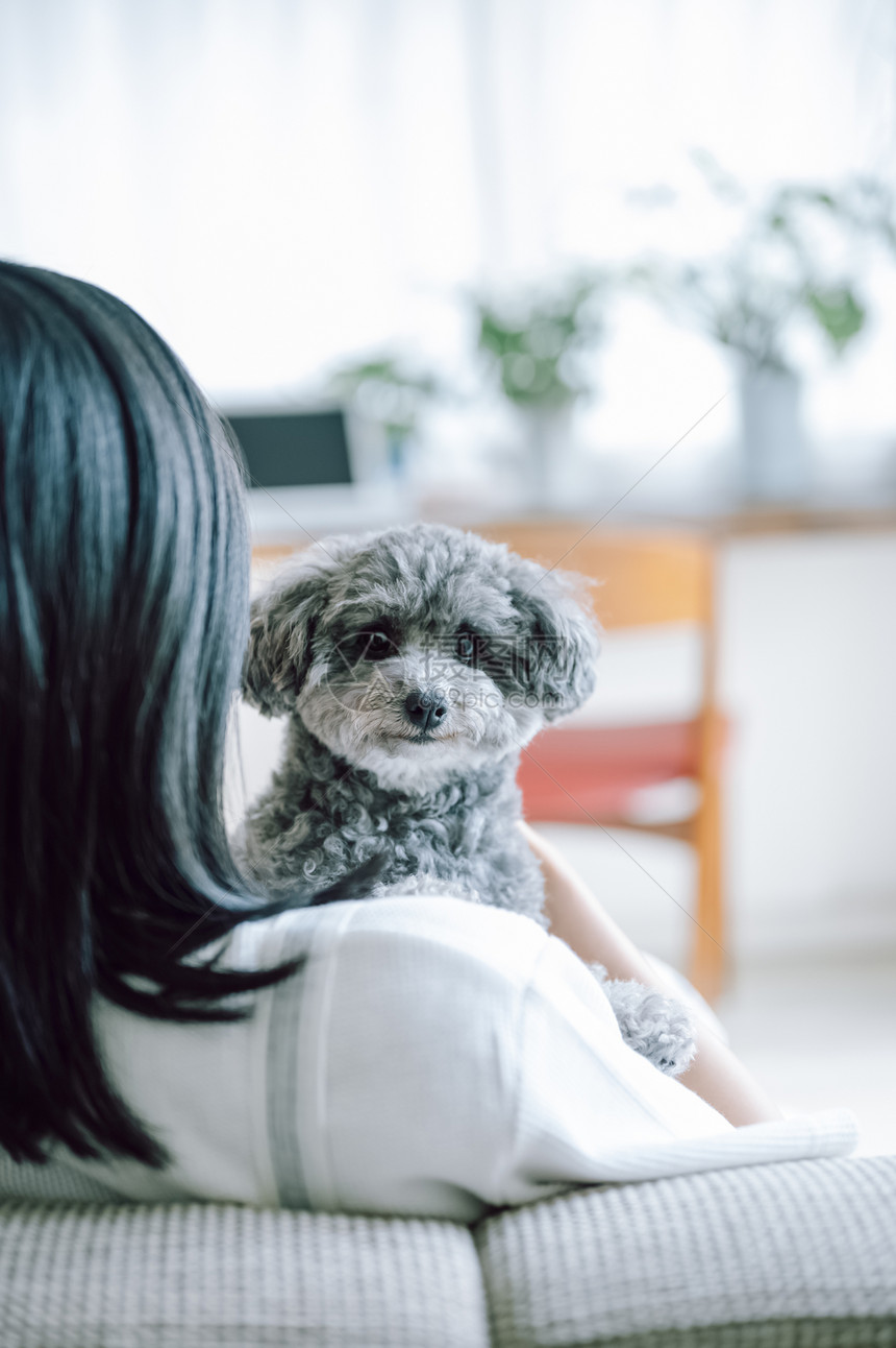 室内微笑的女人抱着宠物狗图片