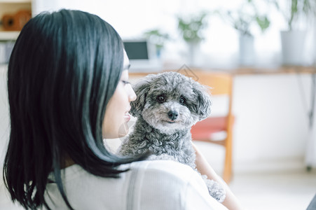 室内养着宠物狗的快乐女人图片