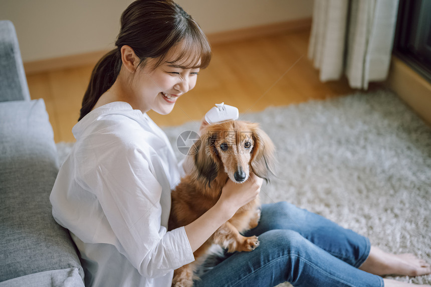 房间抱着可爱宠物狗的女人图片