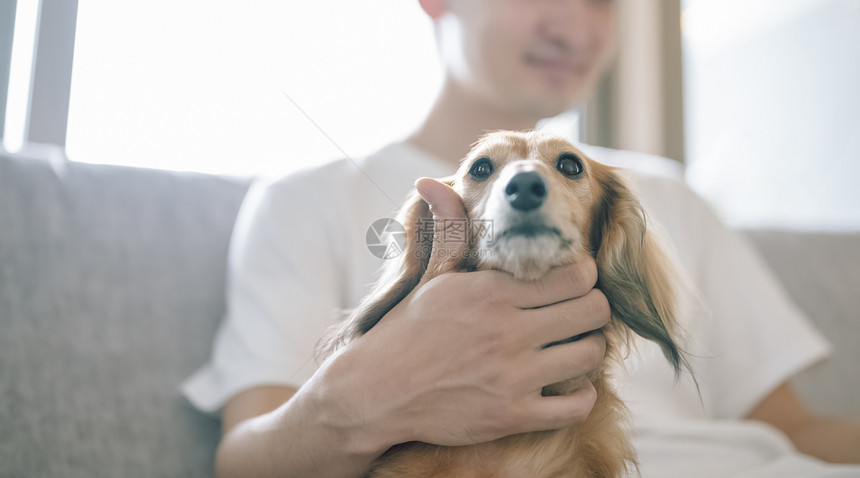 生活资料拍阅读生活与狗男人图片