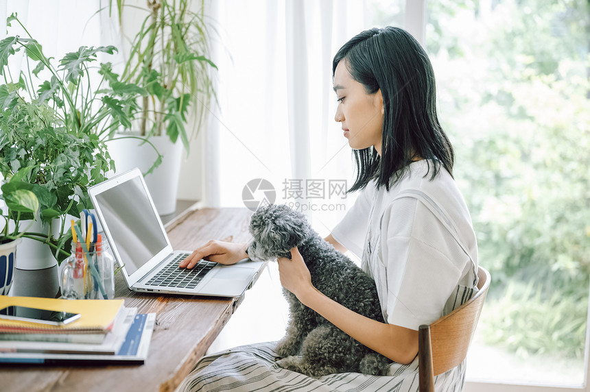 生机勃勃操作轻松生活与狗女人生意图片