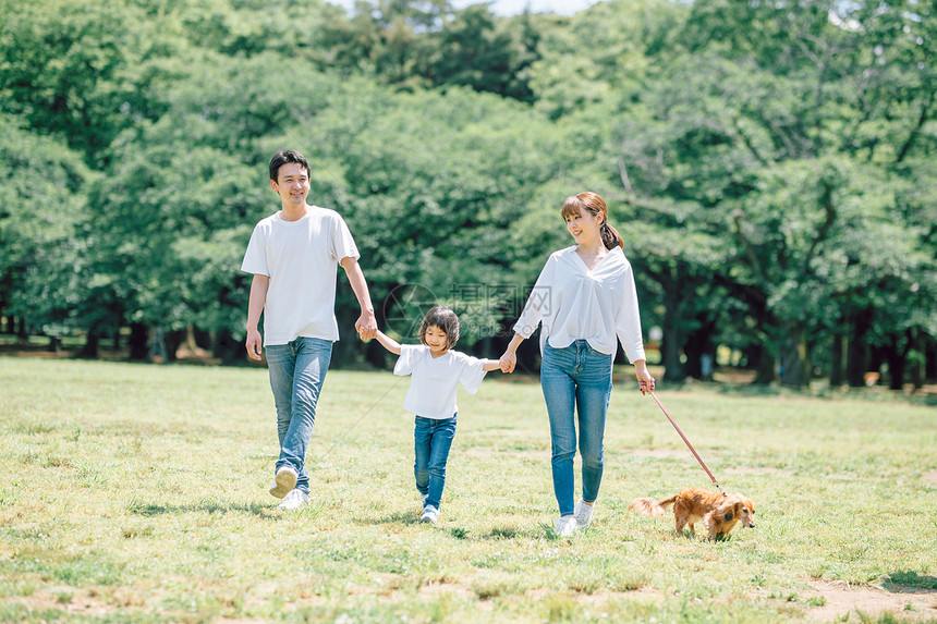 日本人狗狗迷你腊肠犬生活与狗家庭图片