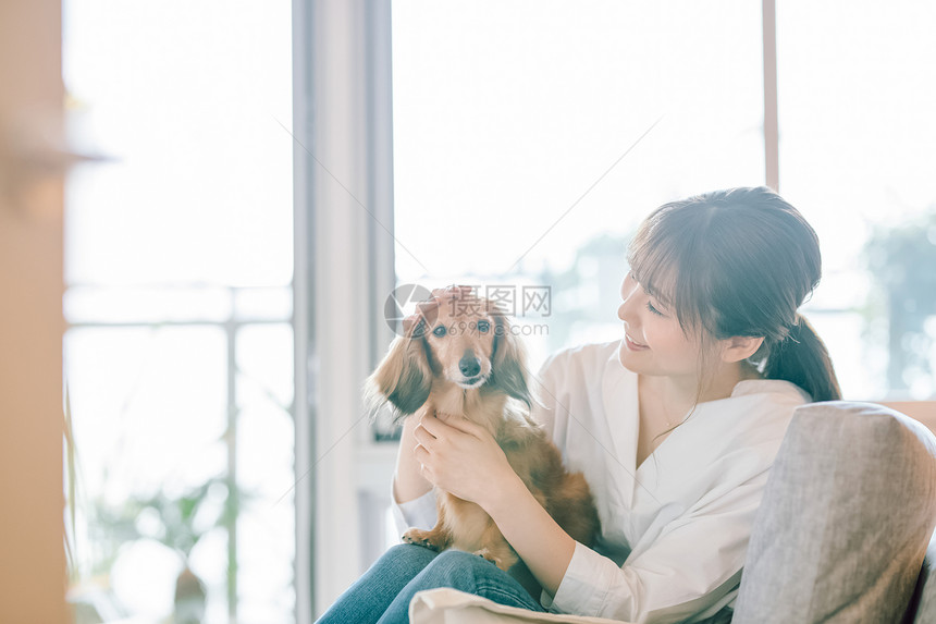 上半身女士动物生活与狗女人图片