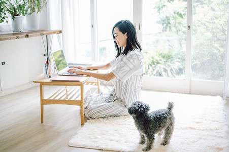 房间养着可爱宠物狗的女人办公图片