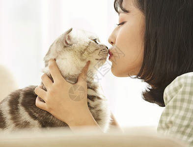 闭眼的猫窗边的女人养着宠物猫背景