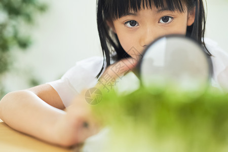 夏天室内的儿童女孩学习研究背景图片