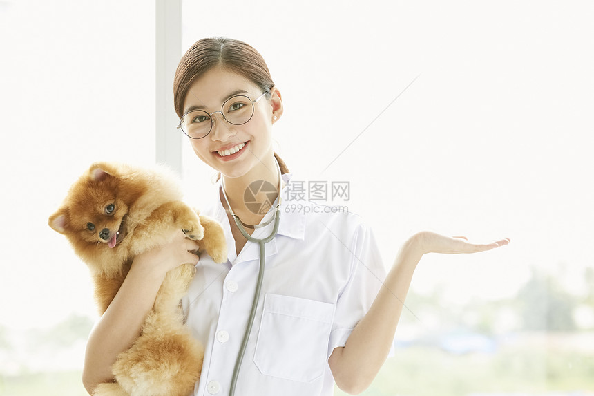 漂亮的宠物女医生抱着狗狗图片