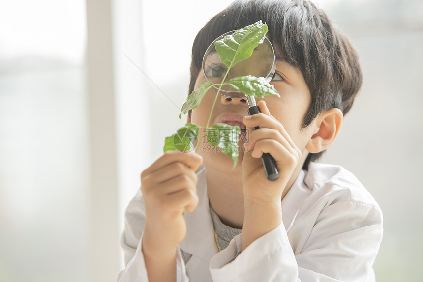 小男孩用放大镜观察绿植图片