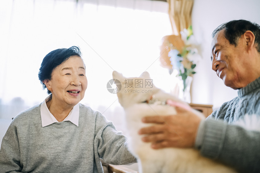 抱着博美犬的老年夫妇图片