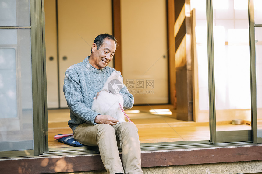 抱着白色博美犬的老年男性图片