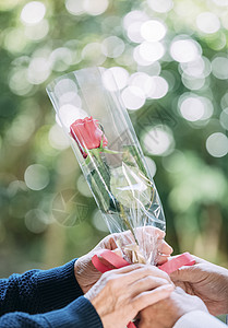 年长的夫妇献花特写高清图片