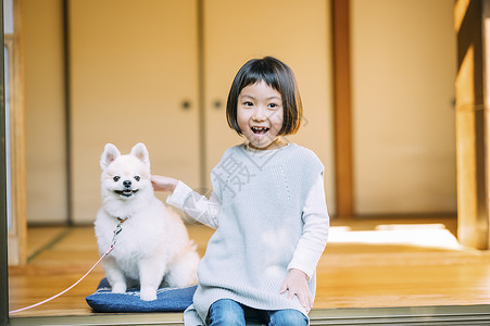 院子里的小女孩和博美犬背景图片