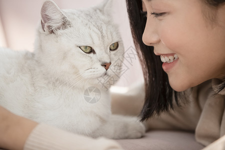 侧脸的猫青年女子与猫咪互动背景