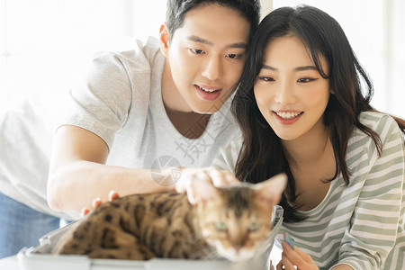 抚摩小猫咪的夫妇图片