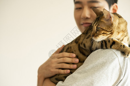 抱着猫咪的成年男子背景图片