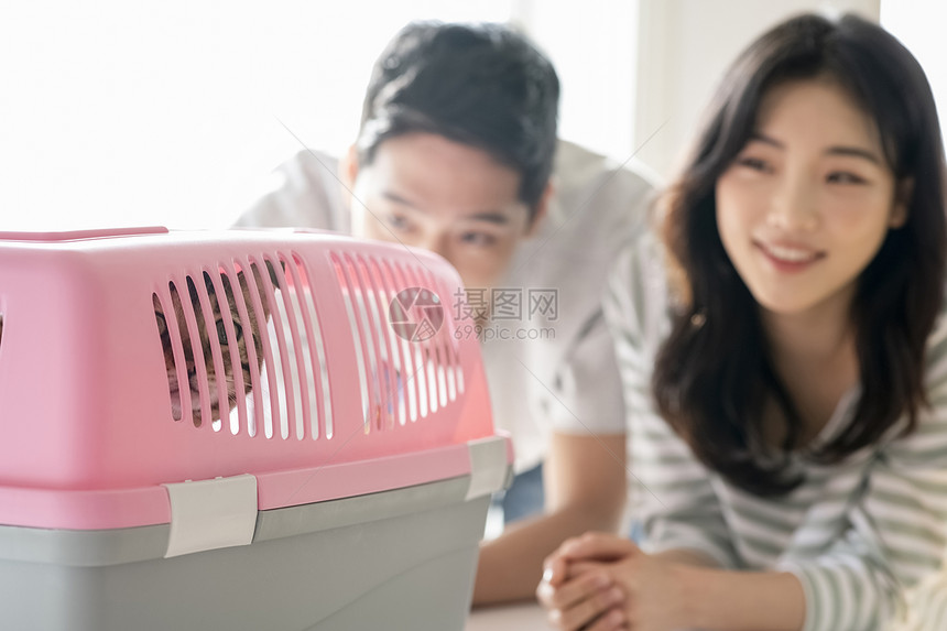 客厅亚洲人30岁夫妻动物生活方式图片