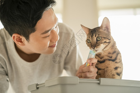 年轻男性喂养宠物猫高清图片