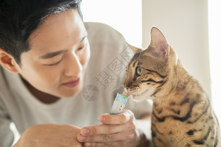 食物吃在内人动物生活方式高清图片