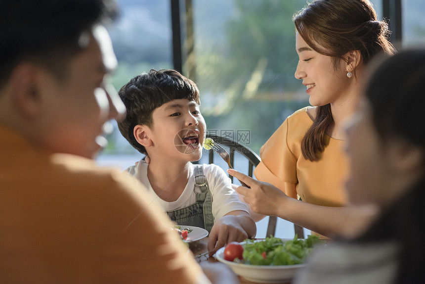 一家人其乐融融的在餐桌上吃饭图片