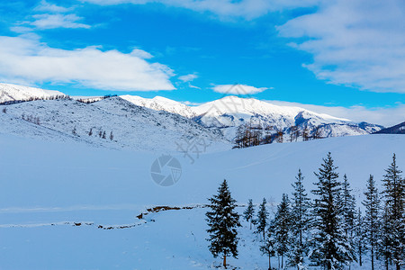 新疆喀纳斯冬日雪景风光背景图片