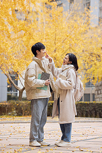 树下落叶银杏树下的大学生情侣形象背景