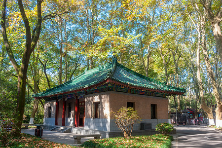 国家5A级旅游风景区南京钟山美龄宫背景图片