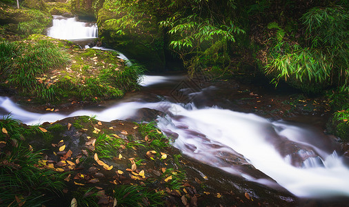 四川龙苍沟山间溪流瀑布背景