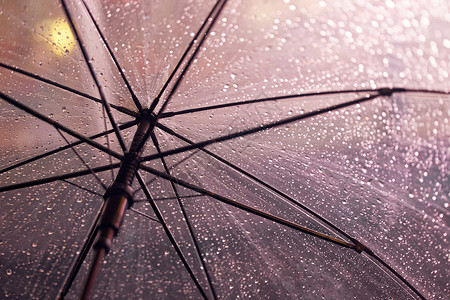 挂着雨水的雨伞特写图片