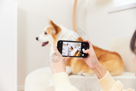正在自拍小狗使用手机给宠物拍照背景