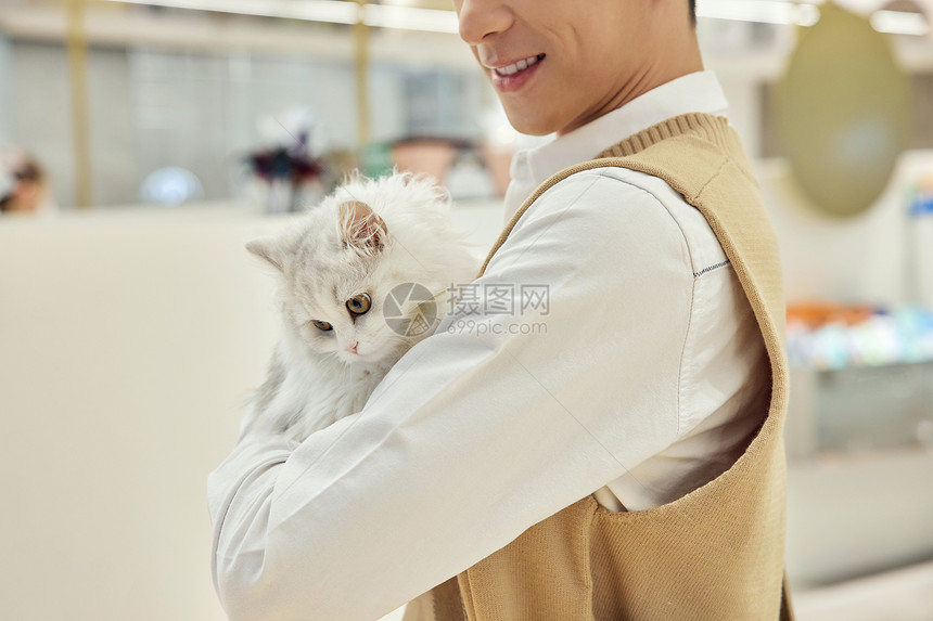 青年男性怀里的猫咪特写图片