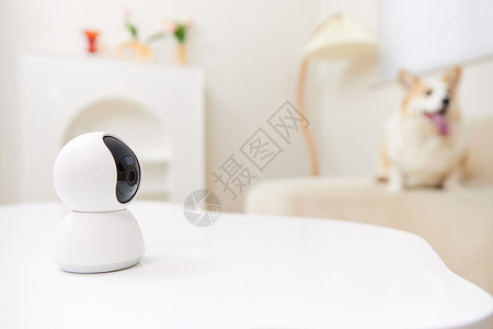 智能家庭生活使用智能监控设备宠物摄像头背景