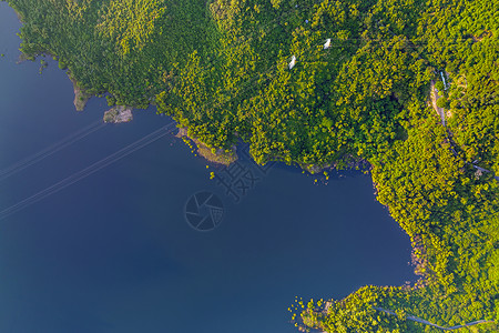 深圳水库深圳梅林水库风景背景