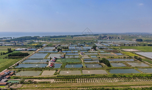 春耕农业农田种植基地航拍图片