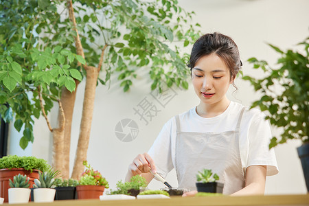 女性居家种植植物图片